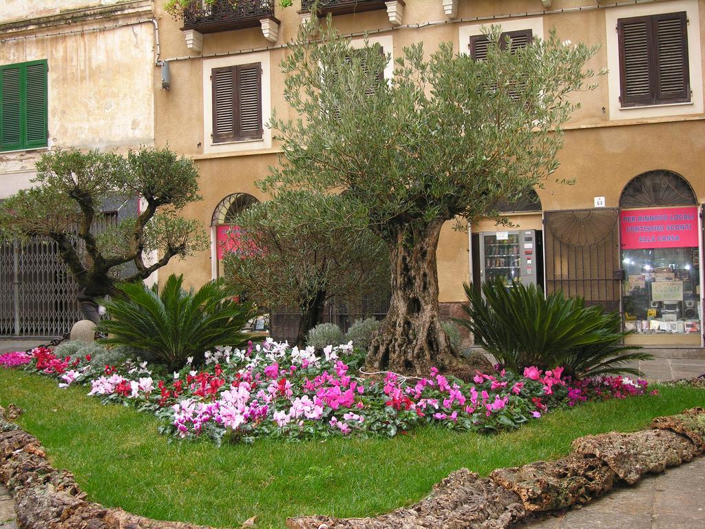Centro Storico Carlo Alberto Alghero Exteriör bild
